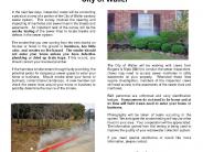 Waller Smoke Flyer English and Spanish
