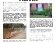 Waller Smoke Flyer English and Spanish